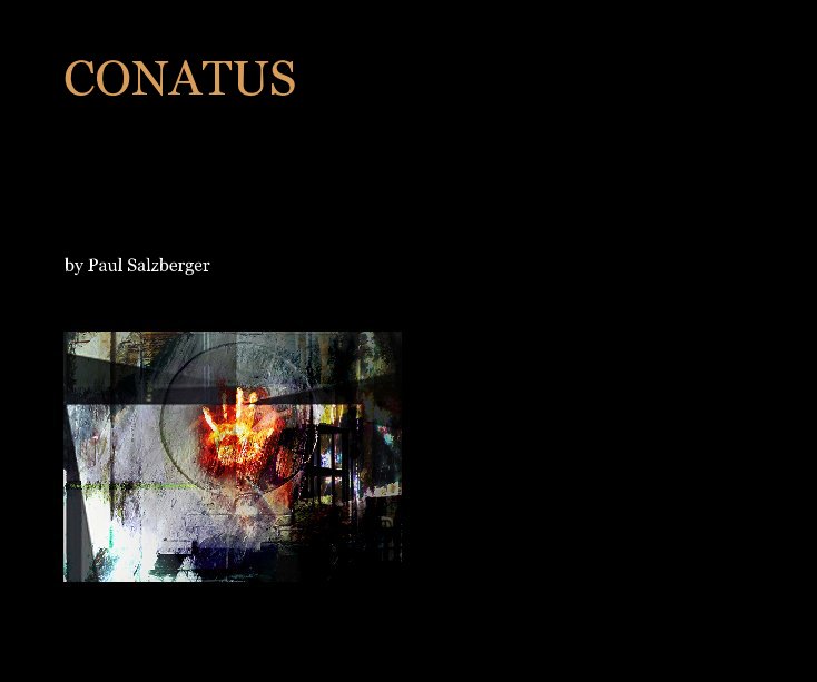 View CONATUS by Paul Salzberger