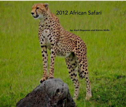 2012 African Safari book cover