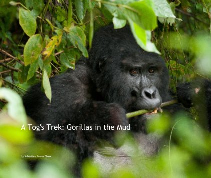 A Tog's Trek: Gorillas in the Mud book cover