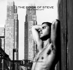 THE BOOK OF STEVE NEW YORK CITY book cover
