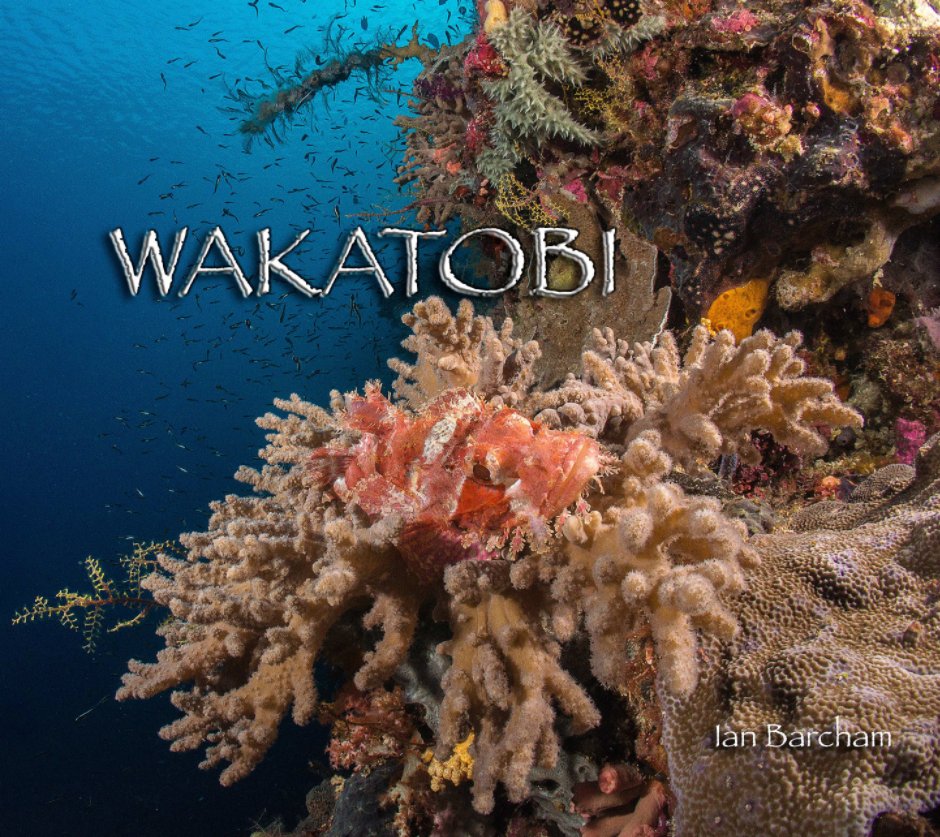 View Wakatobi by Ian Barcham