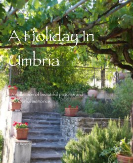 A Holiday In Umbria book cover