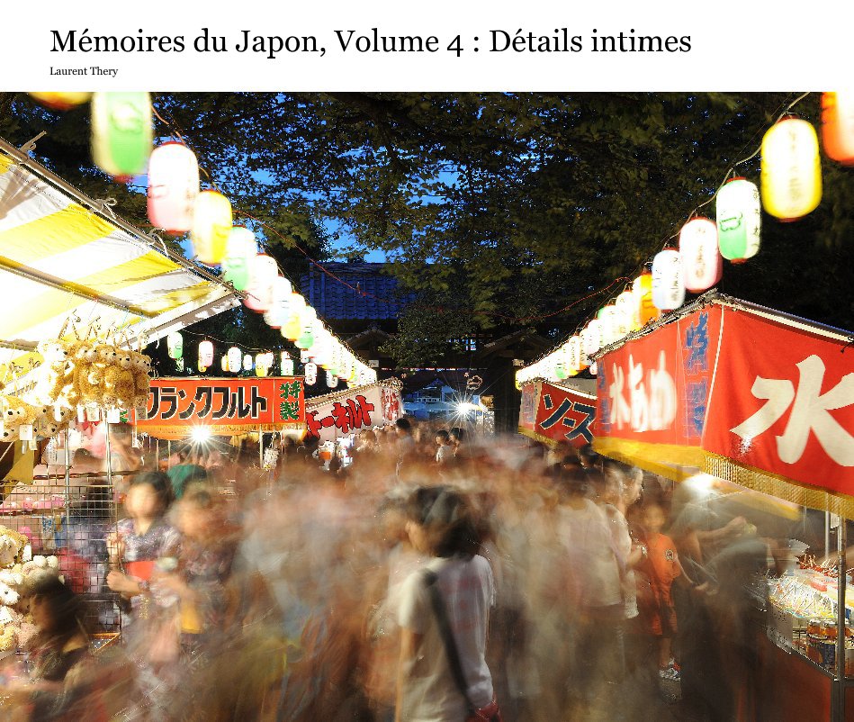 View Mémoires du Japon, Volume 4 : Détails intimes by Laurent Thery