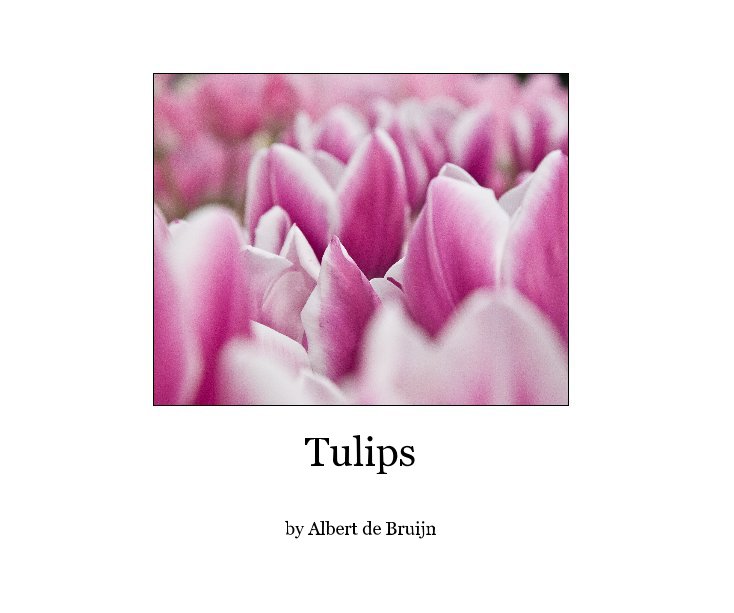View Tulips by Albert de Bruijn