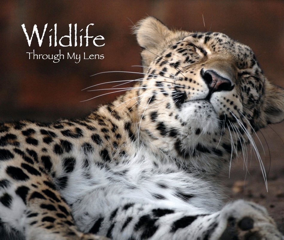 View Wildlife Through My Lens by Russell & Yvette Spencer