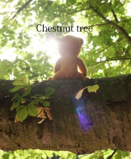 Chestnut tree book cover