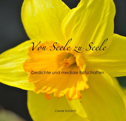 View Von Seele zu Seele by Carole Schürch