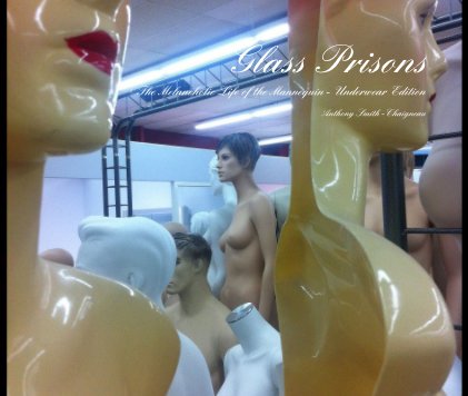 Glass Prisons The Melancholic Life of the Mannequin - Underwear Edition book cover