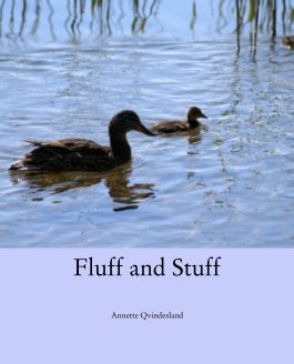 Fluff and Stuff book cover