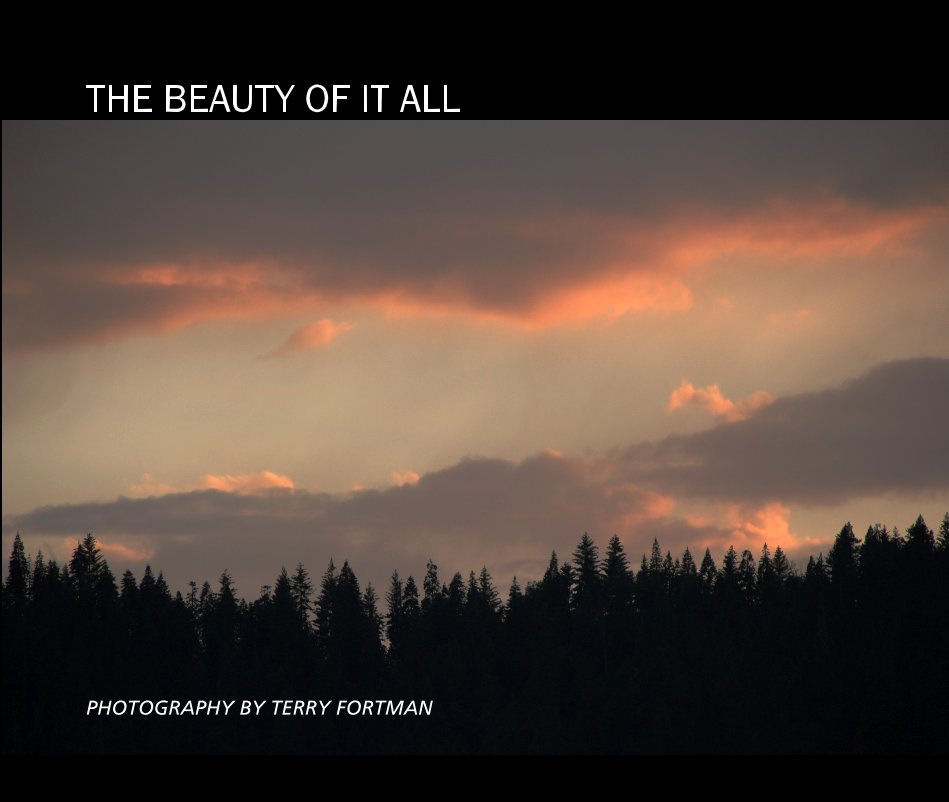 View THE BEAUTY OF IT ALL by TERRY FORTMAN