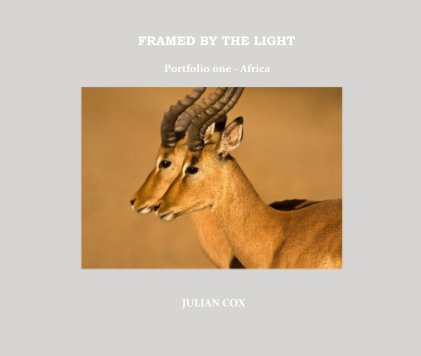 FRAMED BY THE LIGHT book cover