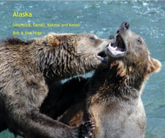 Alaska book cover