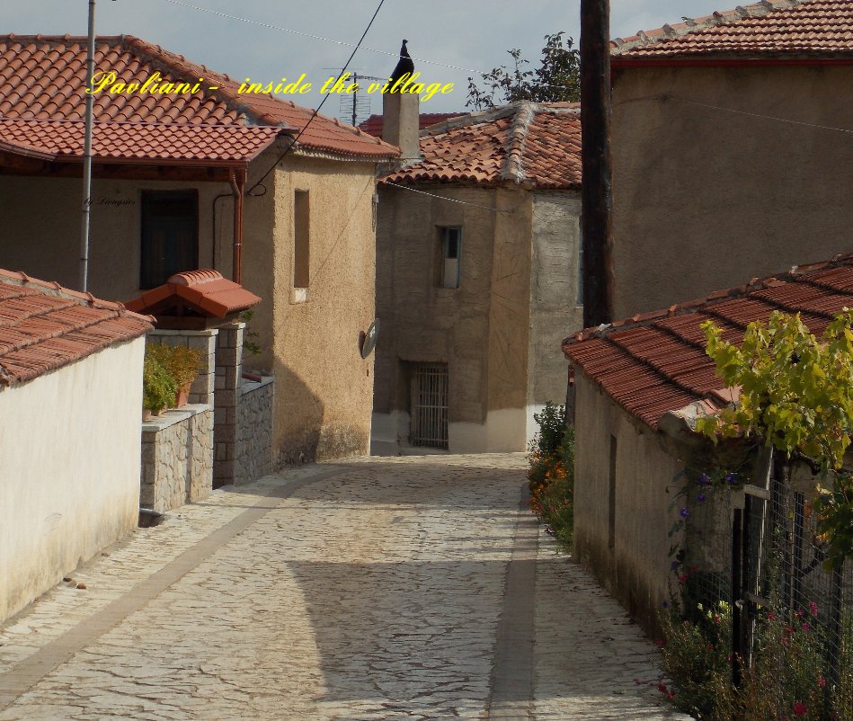 Visualizza Pavliani - inside the village di Dionysios Christopoulos