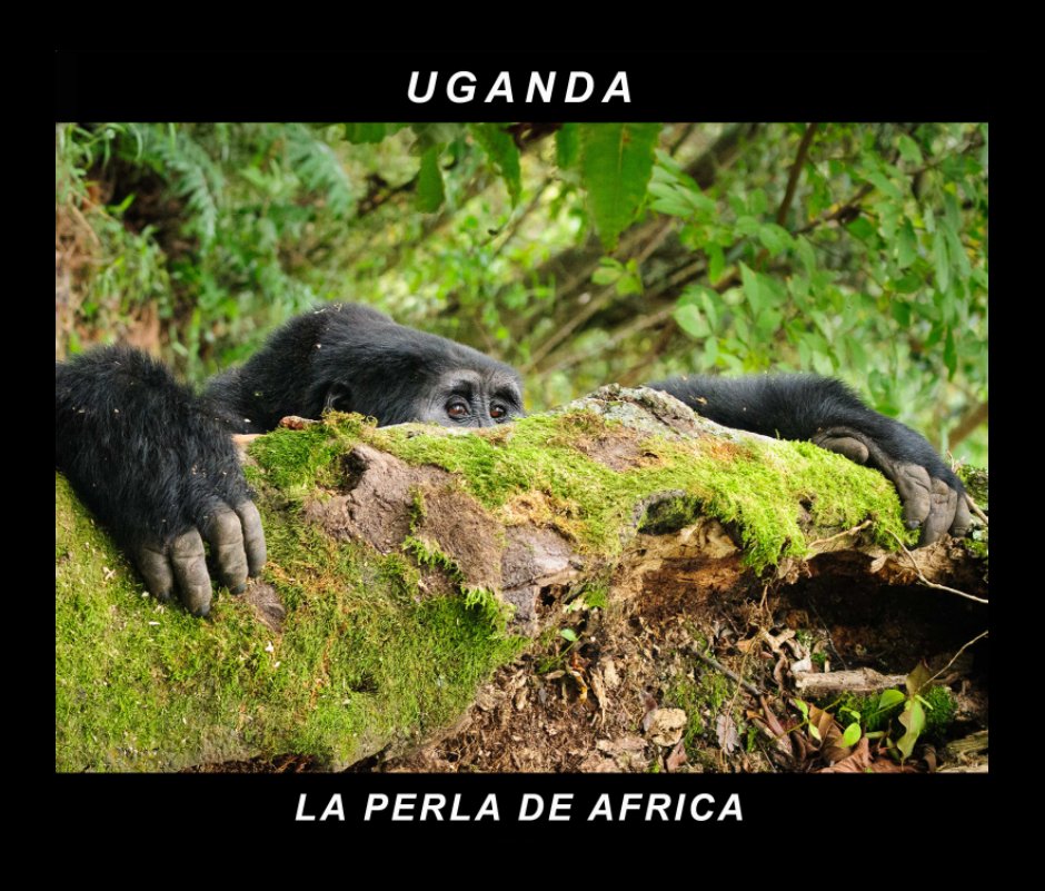 View UGANDA by Carlos Escribano