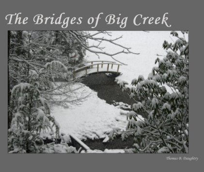 The Bridges of Big Creek book cover