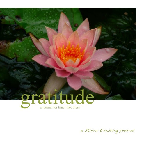 View Gratitude Journal by Jennifer Crow