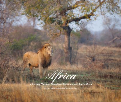 Africa a Journey Through Zimbabwe, Botswana and South Africa book cover