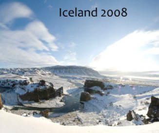 Iceland 2008 Group B book cover