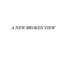 A NEW BROKEN VIEW book cover