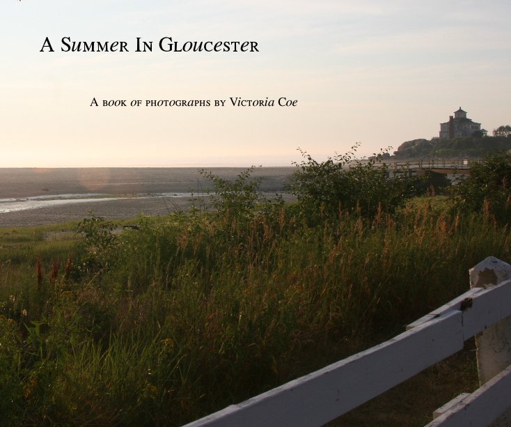 Ver A Summer In Gloucester por Victoria Coe