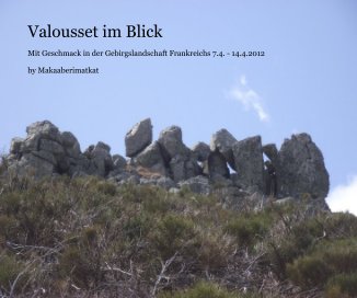 Valousset im Blick book cover