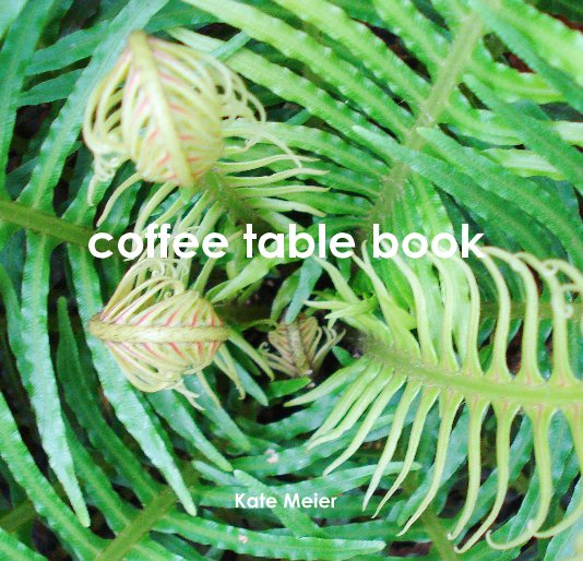 View coffee table book by Kate Meier