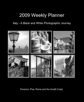 2009 Weekly Planner book cover