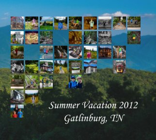 2012 Gatlinburg, TN book cover