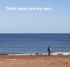 These views are my own... book cover