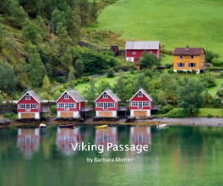 Viking Passage by Barbara Motter book cover