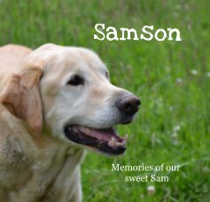 Samson book cover