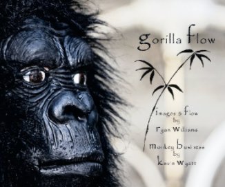 Gorilla Flow book cover
