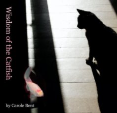 Wisdom of the Catfish book cover