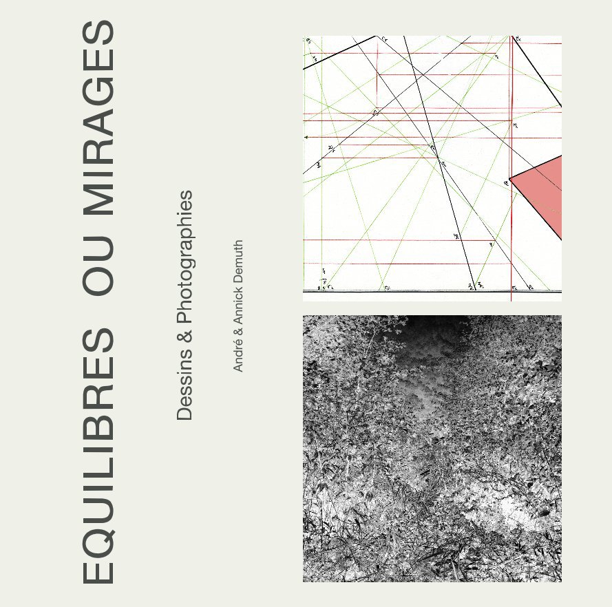 View Equilibres ou mirages by André & Annick Demuth