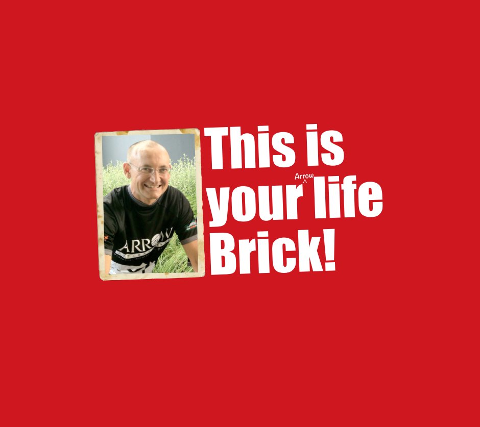 View This is your Arrow Life Brick by Ana Dermer