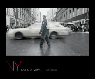 NYpoint of view I Julio Gamboa book cover