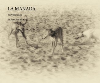 LA MANADA book cover