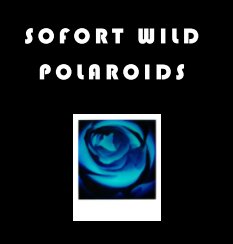 Sofort Wild book cover