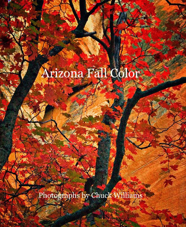 View Arizona Fall Color by Photographs by Chuck Williams