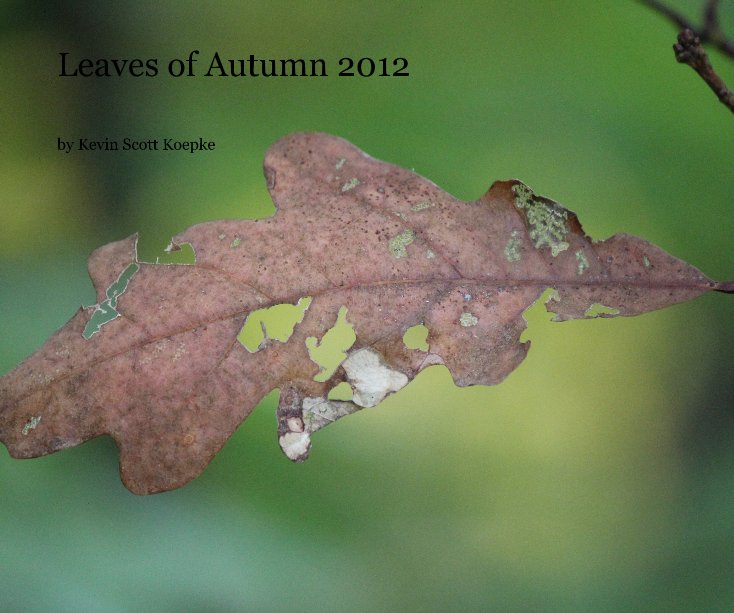 View Leaves of Autumn 2012 by Kevin Scott Koepke