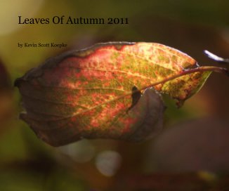 Leaves Of Autumn 2011 book cover