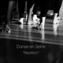Danse en Seine book cover