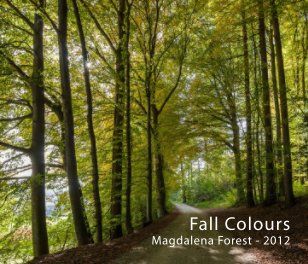 Fall Colours book cover