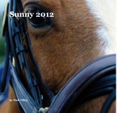 Sunny 2012 book cover
