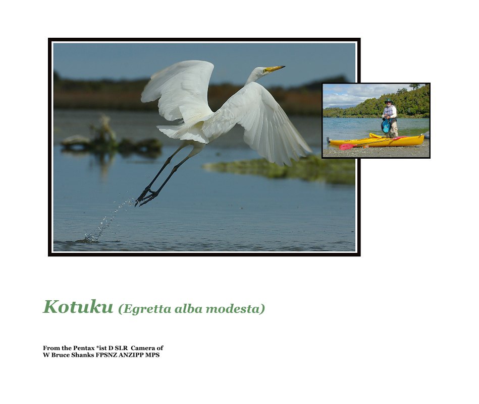 View Kotuku (Egretta alba modesta) by From the Pentax *ist D SLR Camera of W Bruce Shanks FPSNZ ANZIPP MPS
