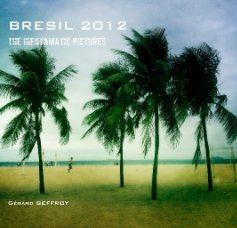 BRESIL 2012 book cover