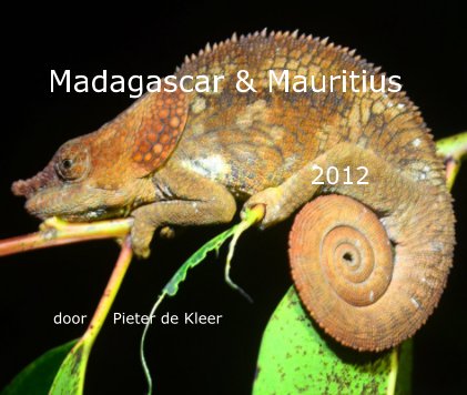 Madagascar & Mauritius book cover
