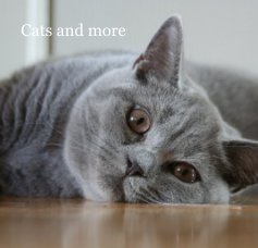 Cats and more book cover