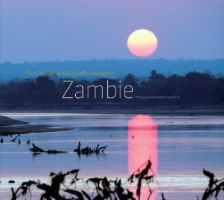 Zambie book cover