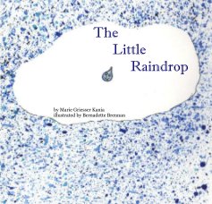 The Little Raindrop book cover